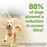 ProZinc Insulin for Dogs and Cats, 10 ml Vial - Image 5