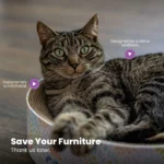 Catstages Scratch & Cuddle Corrugated Cat Scratcher and Lounger - Image 6