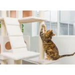 Armarkat 77-in Classic Faux Fleece Real Wood Cat Tree Large Cat Play Tower, Ivory - Image 7