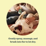 Mrs. Meyer's Clean Day Dog Deodorizing Spritz - Sweet Chamomile, 8 oz - Image 5