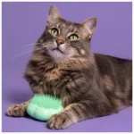 Pet Teezer Cat Brush - Image 3