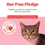 Skout's Honor® Pet Supply Company Cat Probiotic Honeysuckle Shampoo + Conditioner - Image 9