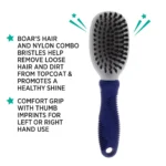 Whisker City® Bristle Cat Brush - Image 3