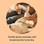 Mrs. Meyer's Clean Day Dog Deodorizing Spritz - White Peach, 8 oz - Image 5