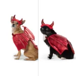 Thrills & Chills® Devil Costume, Dog & Cat