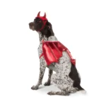 Thrills & Chills® Devil Costume, Dog & Cat - Image 3