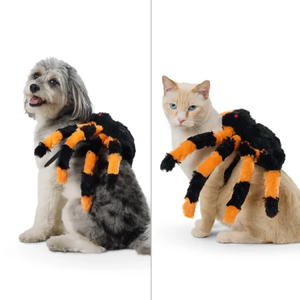 Thrills & Chills® LED Spider Costume, Dog & Cat