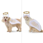 Thrills & Chills® Halo + Wings Costume, Dog & Cat