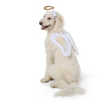 Thrills & Chills® Halo + Wings Costume, Dog & Cat - Image 3