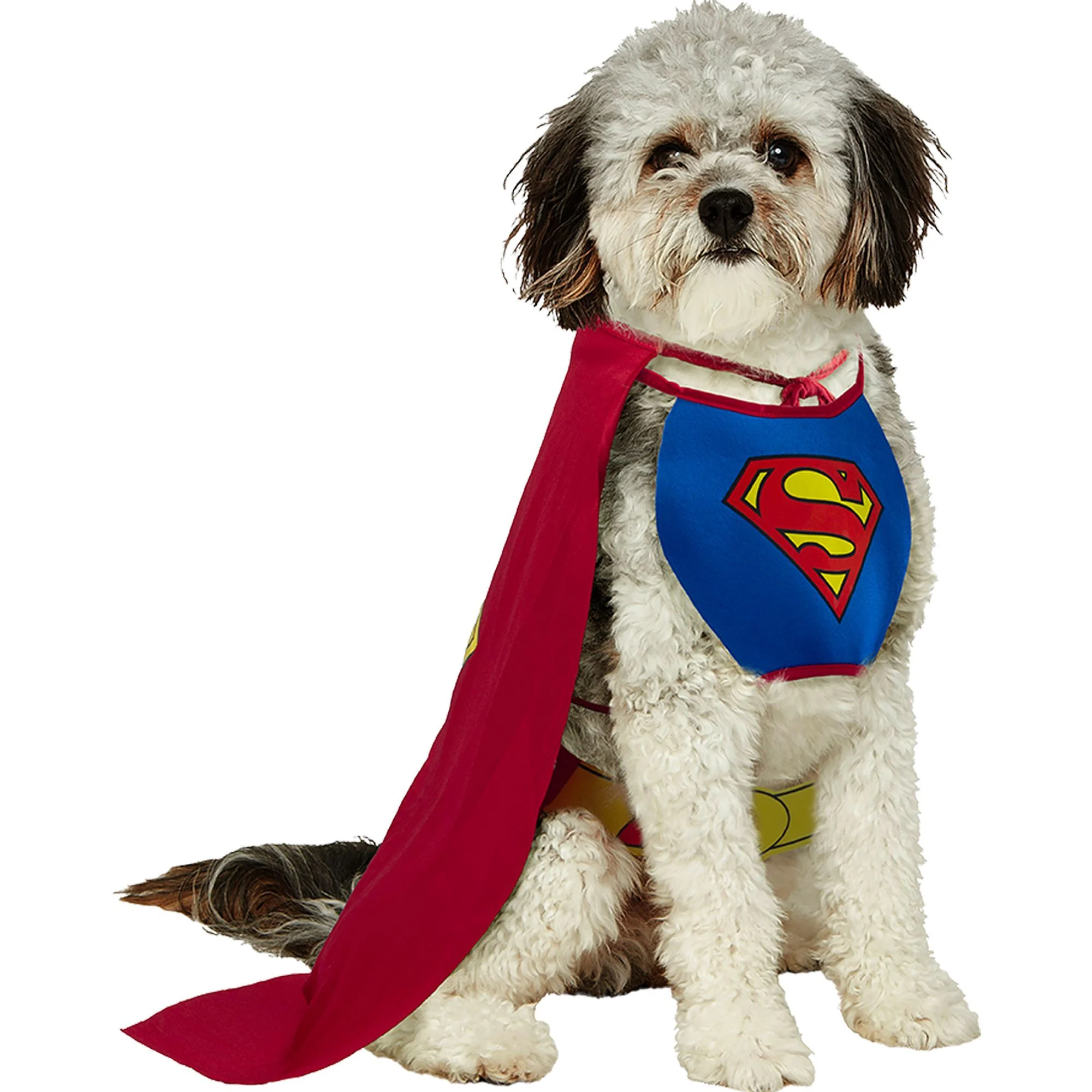 img_1761636861608_400_sImVN8RgG.webp Rubies Superman Pet Costume Cape - Image 1