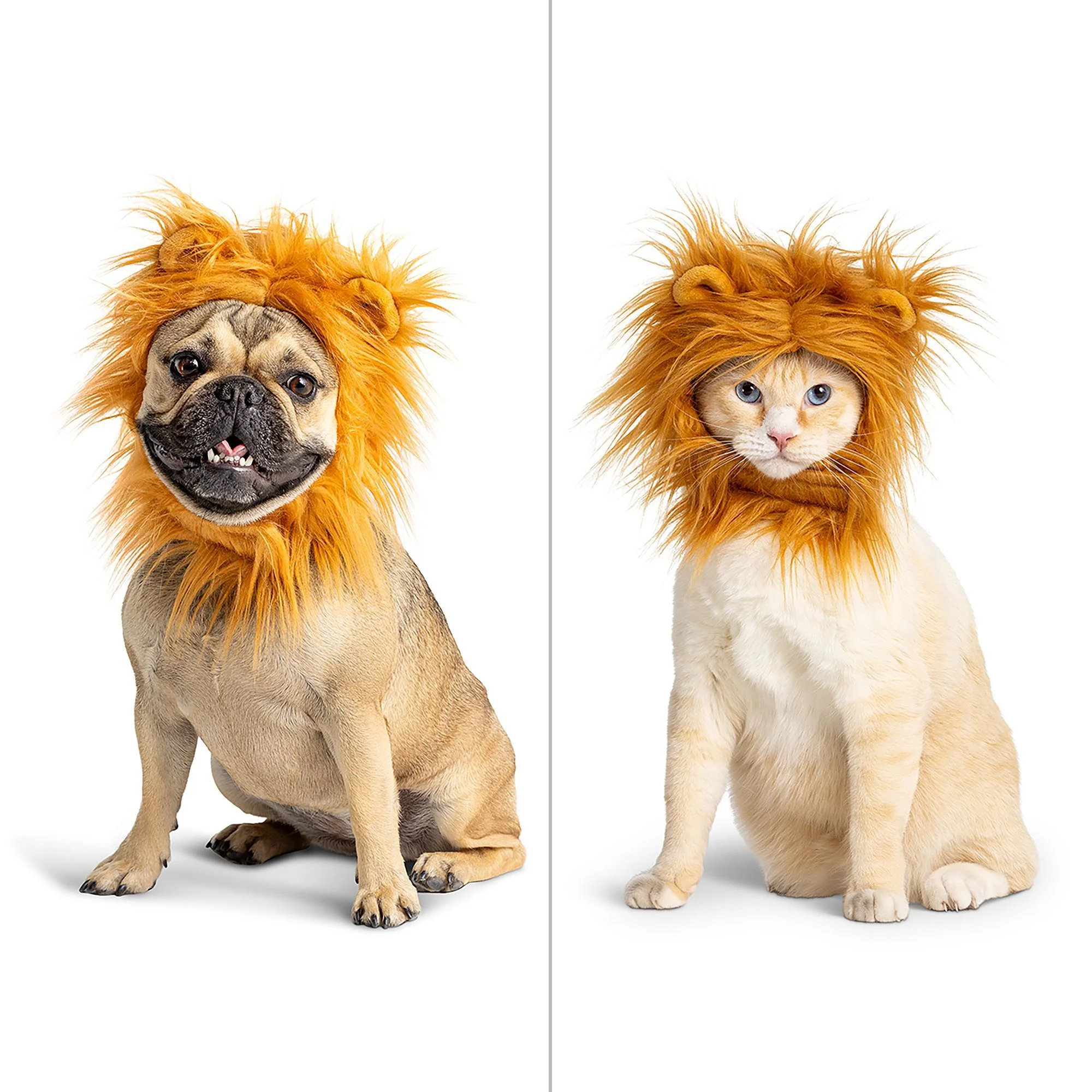 img_1761636876514_206_o-SjCmPf4.webp Thrills & Chills Headwear Costume for Pets - Lion - Image 1