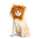 Thrills & Chills Headwear Costume for Pets - Lion - Image 2