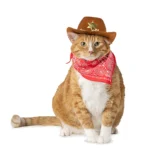 Thrills & Chills® Cowboy Hat & Bandana, Dog & Cat - Image 2