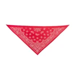 Thrills & Chills® Cowboy Hat & Bandana, Dog & Cat - Image 5