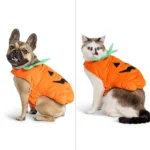 Thrills & Chills® Pet Pumpkin Costume, Dog & Cat