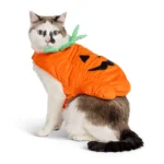 Thrills & Chills® Pet Pumpkin Costume, Dog & Cat - Image 2