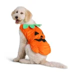 Thrills & Chills® Pet Pumpkin Costume, Dog & Cat - Image 3