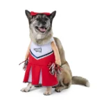 Thrills & Chills® Pet Cheerleader Costume, Dog & Cat - Image 3