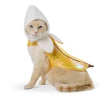 Thrills & Chills® Pet Banana Costume, Dog & Cat - Image 2