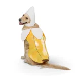 Thrills & Chills® Pet Banana Costume, Dog & Cat - Image 3