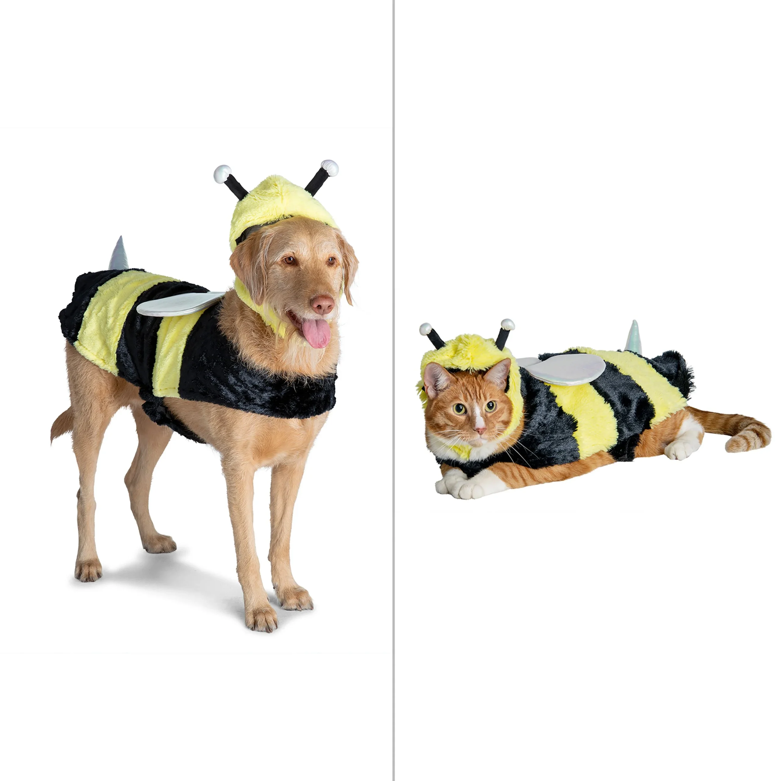 img_1761637037761_287_ewVNLbIrA.webp Thrills & Chills® Pet Bee Costume, Dog & Cat - Image 1