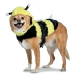 Thrills & Chills® Pet Bee Costume, Dog & Cat - Image 2