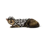 Thrills & Chills® Dog Ghosts Hoodies - Image 2