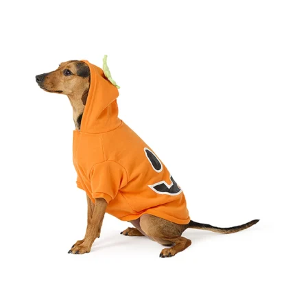 Thrills & Chills® Pet Pumpkin Hoodie Costume