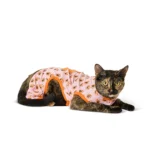 Thrills & Chills® Pet Pumpkin PJs - Image 2