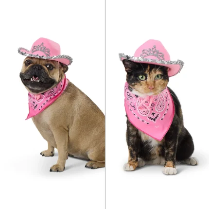 Thrills & Chills® Pink Cowgirl Hat & Bandana