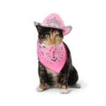 Thrills & Chills® Pink Cowgirl Hat & Bandana - Image 2