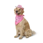 Thrills & Chills® Pink Cowgirl Hat & Bandana - Image 3