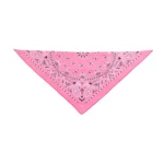 Thrills & Chills® Pink Cowgirl Hat & Bandana - Image 5