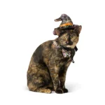 Thrills & Chills® Web Hat & Bowtie, Dog and Cat