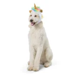 Thrills & Chills Headwear Costume for Pets - Unicorn - Image 3
