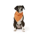Thrills & Chills® Glow-in-the-Dark Pet Bandana