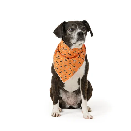 Thrills & Chills® Glow-in-the-Dark Pet Bandana