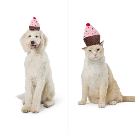 Thrills & Chills® Headwear Costume for Pets- Cupcake