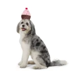 Thrills & Chills® Headwear Costume for Pets- Cupcake - Image 2