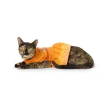 Thrills & Chills® Pumpkin Dress, Dog and Cat - Image 2