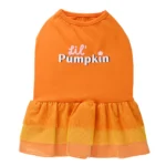 Thrills & Chills® Pumpkin Dress, Dog and Cat - Image 3
