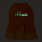 Thrills & Chills® Pumpkin Dress, Dog and Cat - Image 5