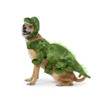 Thrills & Chills® Pet Dinosaur Costume, Dog & Cat - Image 2