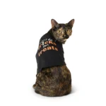 Thrills & Chills® Tricks for Treats T-Shirt, Dog and Cat - Image 2