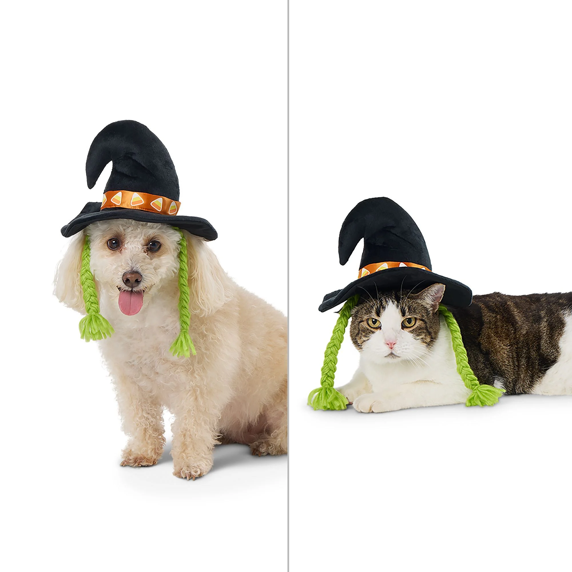 img_1761637471503_325_S6BGSjKqK9.webp Thrills & Chills Headwear Costume for Pets - Witch - Image 1