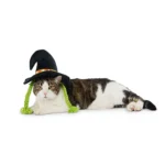 Thrills & Chills Headwear Costume for Pets - Witch - Image 2
