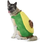 Thrills & Chills® Pet Avocado Costume, Dog & Cat - Image 2