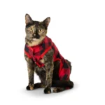Merry & Bright® Buffalo Check Holiday Pajamas - Image 2