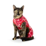 Merry & Bright® Red Holiday Pajamas - Image 2