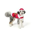Merry & Bright® Santa Holiday Costume